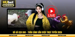 đá gà cựa dao toàn cảnh săn cược trực tuyến